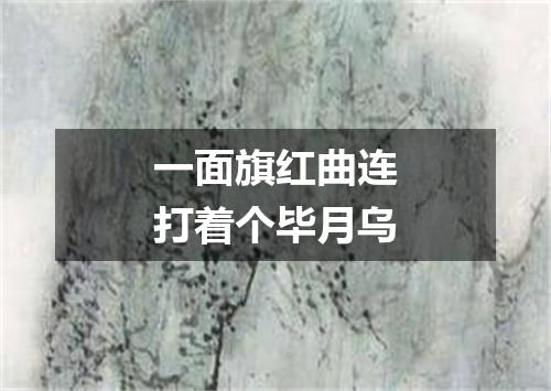 一面旗红曲连打着个毕月乌