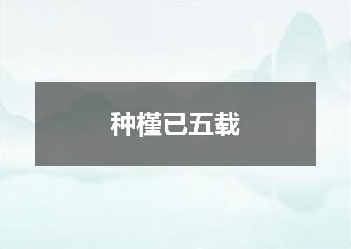 种槿已五载