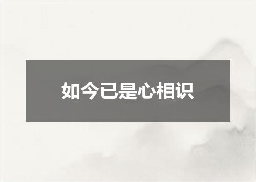 如今已是心相识