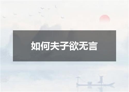 如何夫子欲无言
