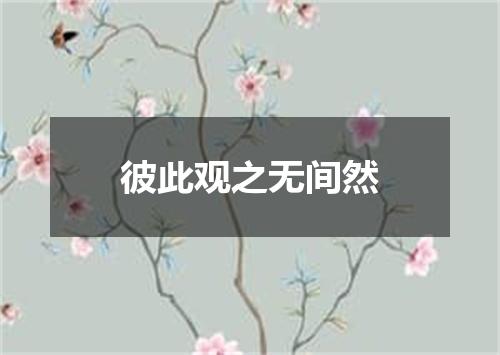 彼此观之无间然
