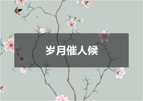 岁月催人候