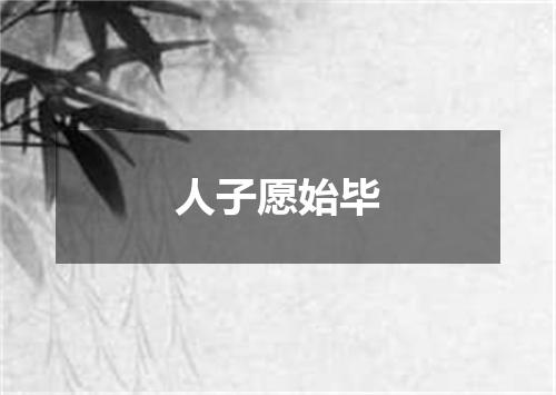 人子愿始毕
