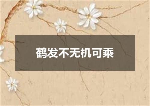鹤发不无机可乘