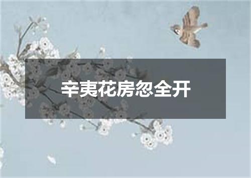 辛夷花房忽全开
