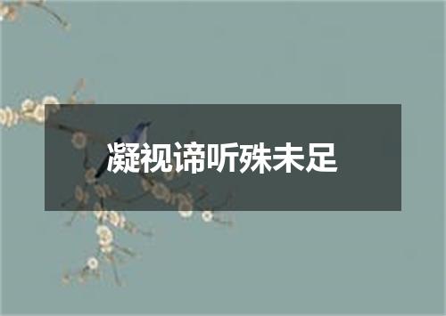 凝视谛听殊未足