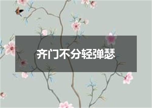 齐门不分轻弹瑟