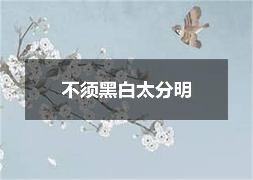 不须黑白太分明