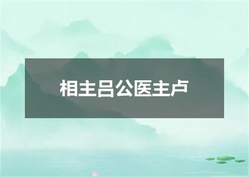 相主吕公医主卢