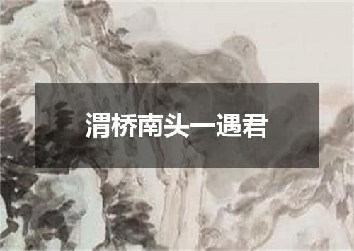 渭桥南头一遇君