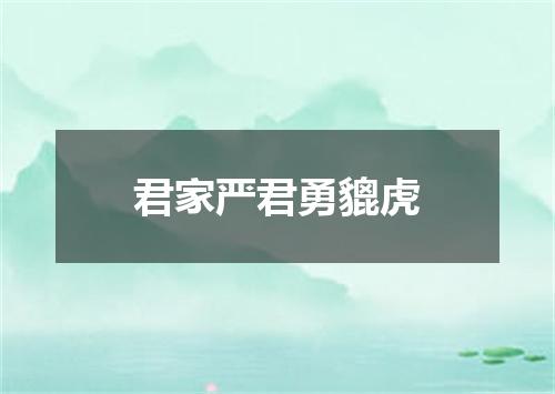 君家严君勇貔虎