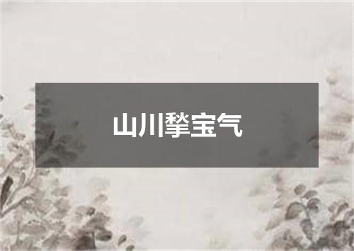 山川揫宝气