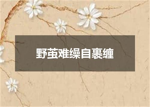 野茧难缲自裹缠