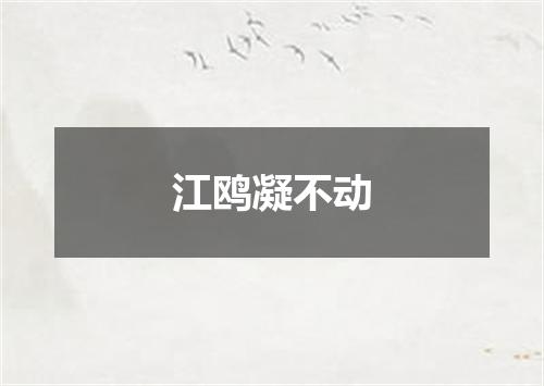 江鸥凝不动