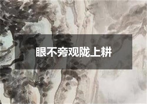 眼不旁观陇上耕