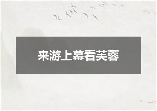 来游上幕看芙蓉