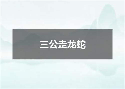 三公走龙蛇