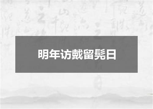 明年访戴留髡日