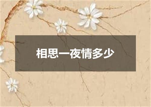 相思一夜情多少