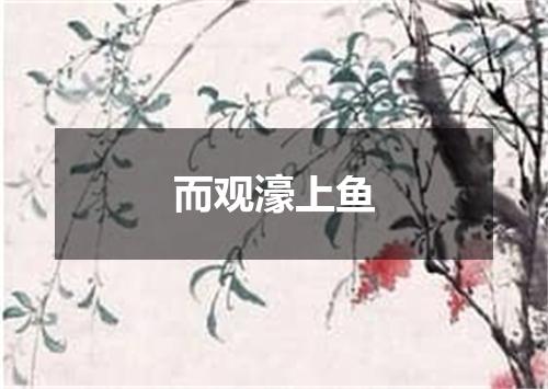 而观濠上鱼