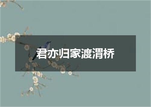 君亦归家渡渭桥