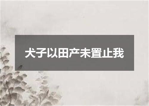 犬子以田产未置止我
