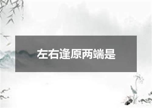 左右逢原两端是