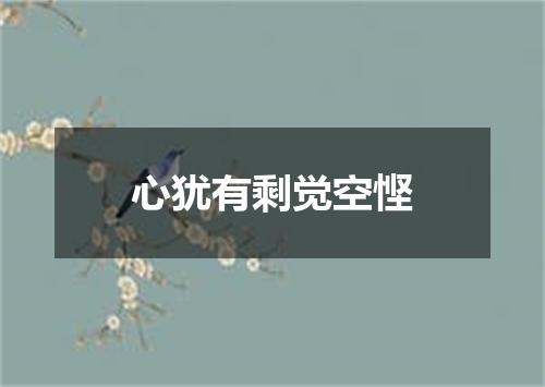 心犹有剩觉空悭