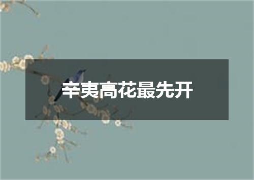 辛夷高花最先开