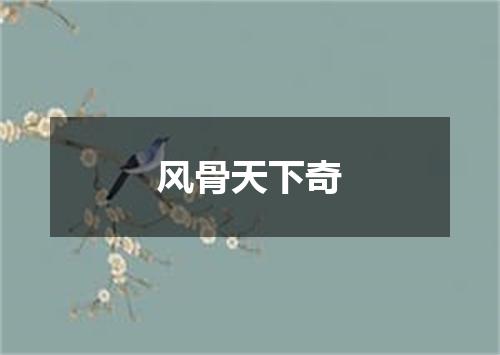风骨天下奇