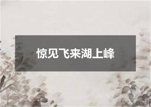 惊见飞来湖上峰