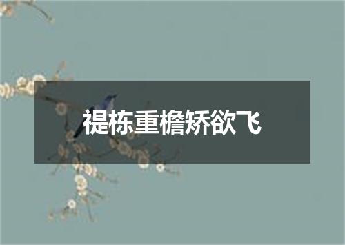 禔栋重檐矫欲飞