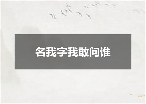 名我字我敢问谁