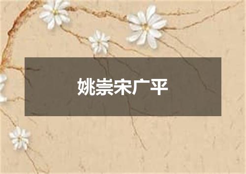 姚崇宋广平