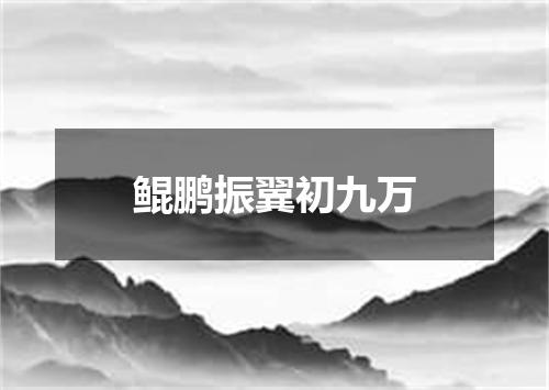 鲲鹏振翼初九万