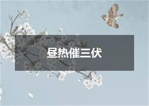 昼热催三伏