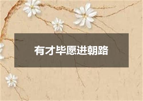 有才毕愿进朝路