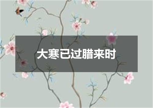 大寒已过腊来时