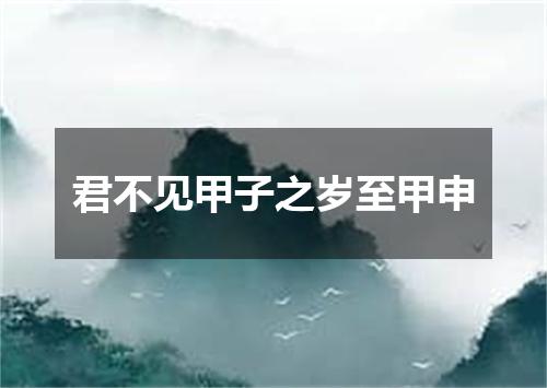 君不见甲子之岁至甲申