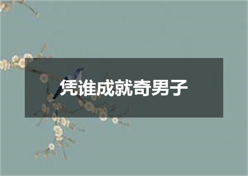 凭谁成就奇男子
