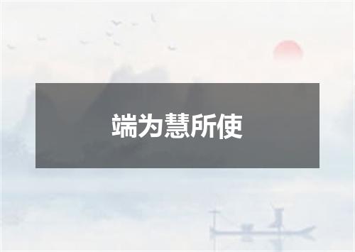 端为慧所使