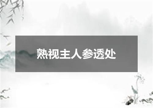 熟视主人参透处