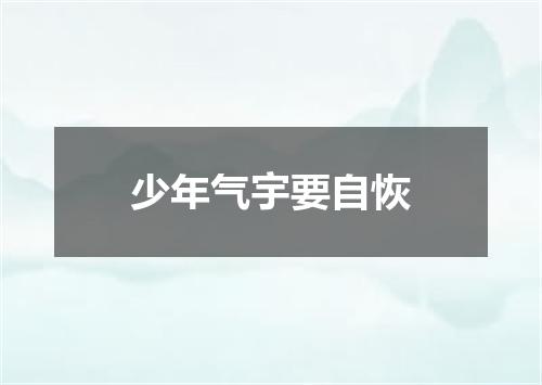 少年气宇要自恢