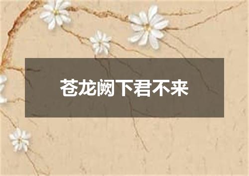 苍龙阙下君不来