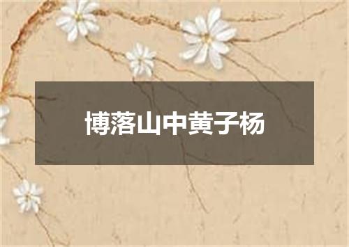 博落山中黄子杨