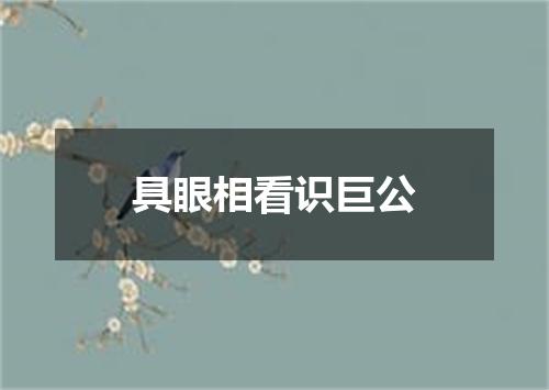 具眼相看识巨公