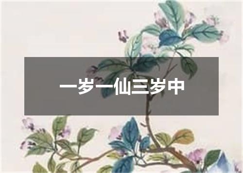 一岁一仙三岁中