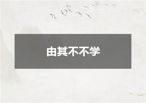 由其不不学