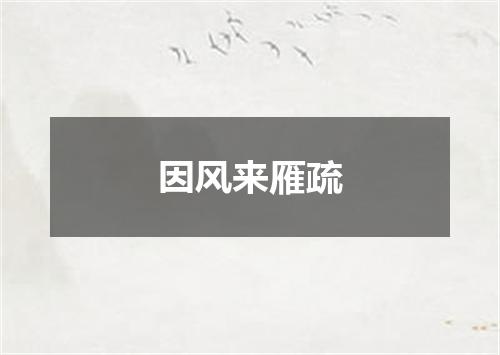 因风来雁疏