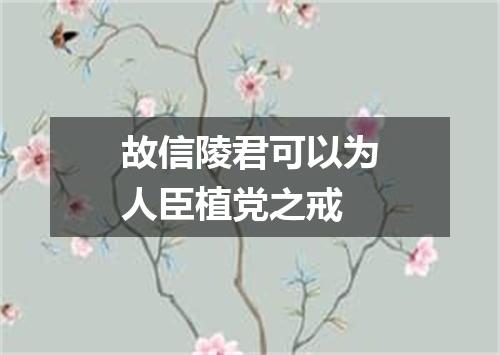 故信陵君可以为人臣植党之戒